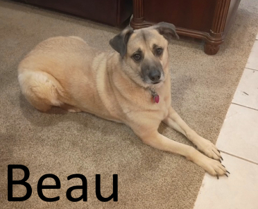 Stone County Humane Society